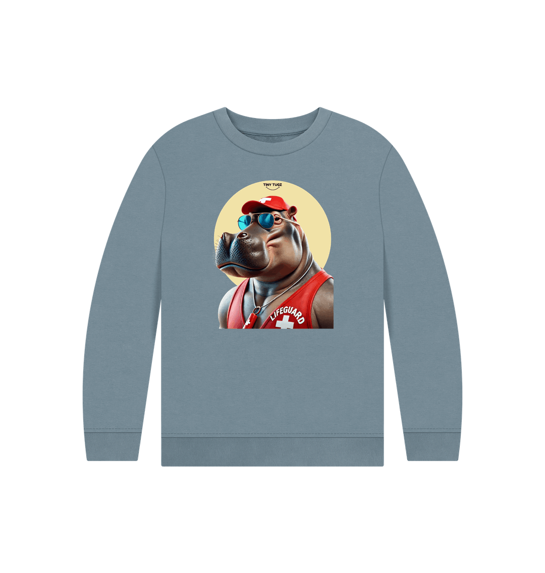 Stone Blue Printed Kids Jumper
