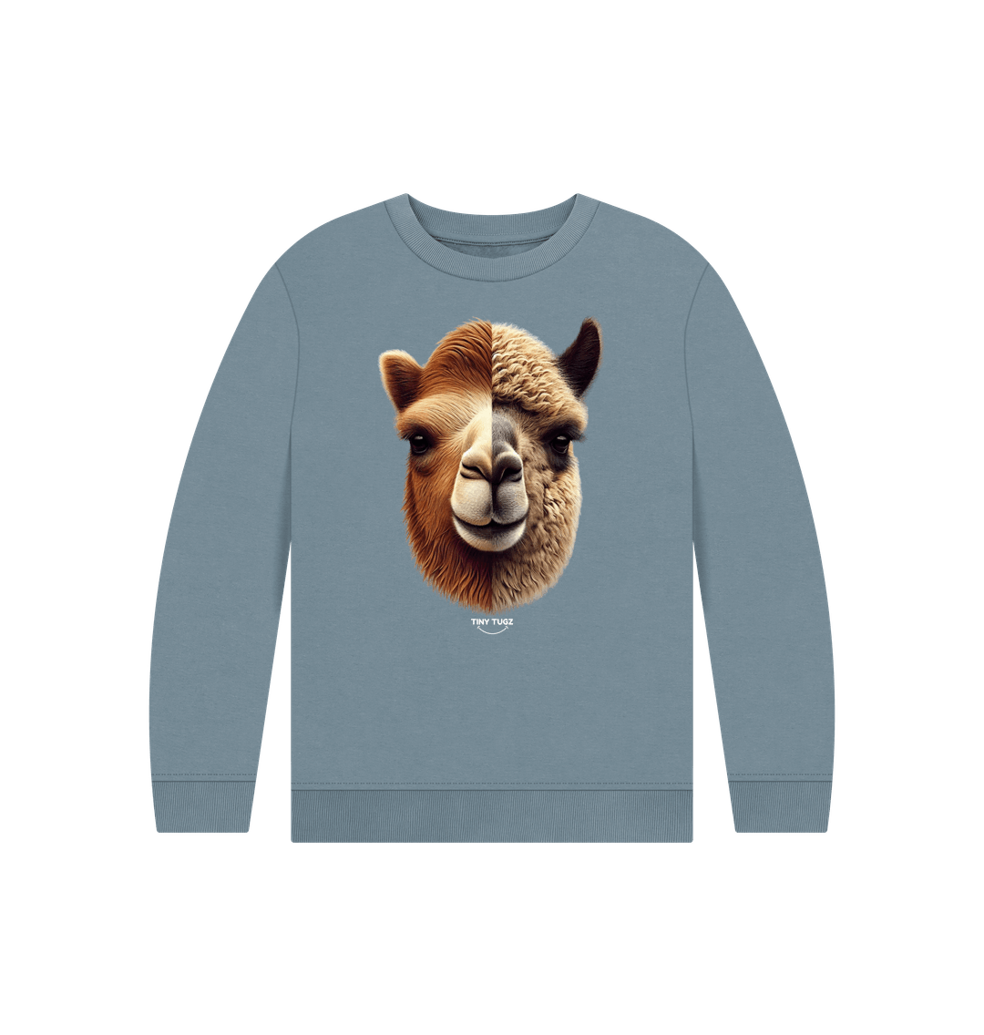 Stone Blue Printed Kids Jumper
