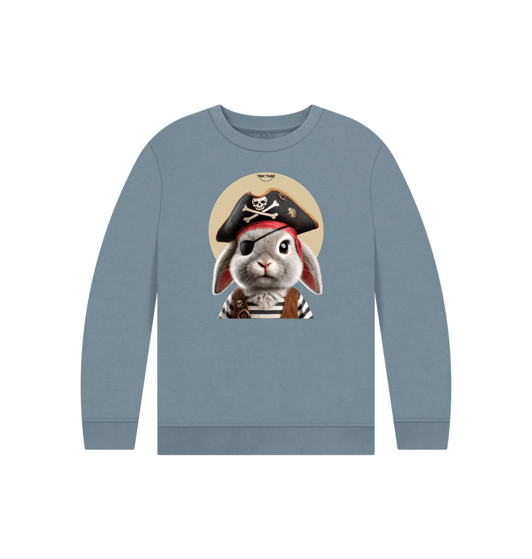 Stone Blue Printed Kids Jumper