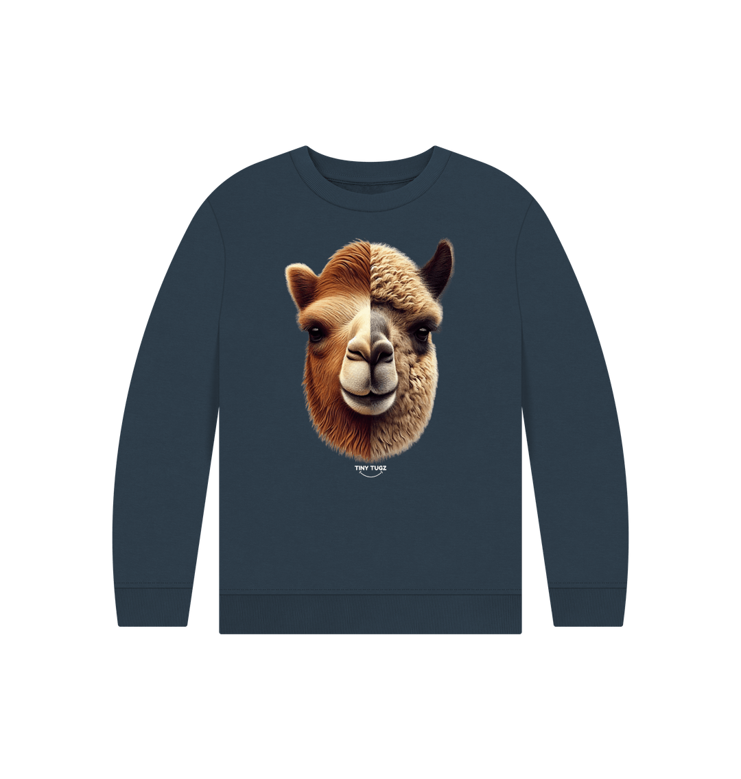Navy Blue Printed Kids Jumper