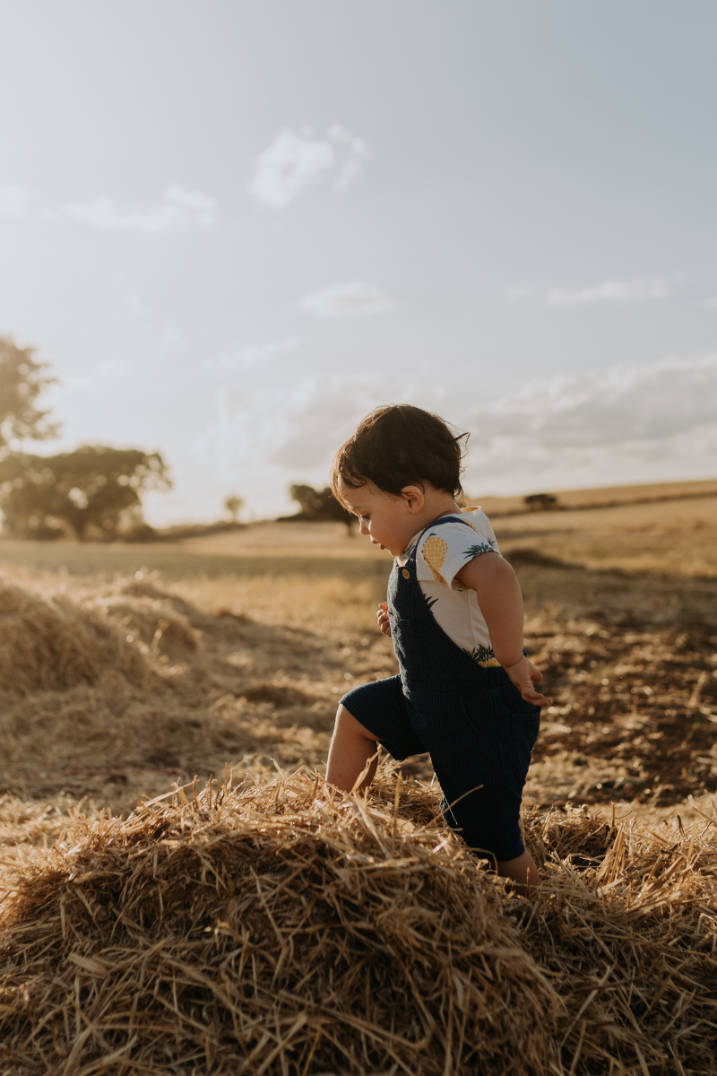 Why Outdoor Play Helps Children Regulate Emotion and Stress