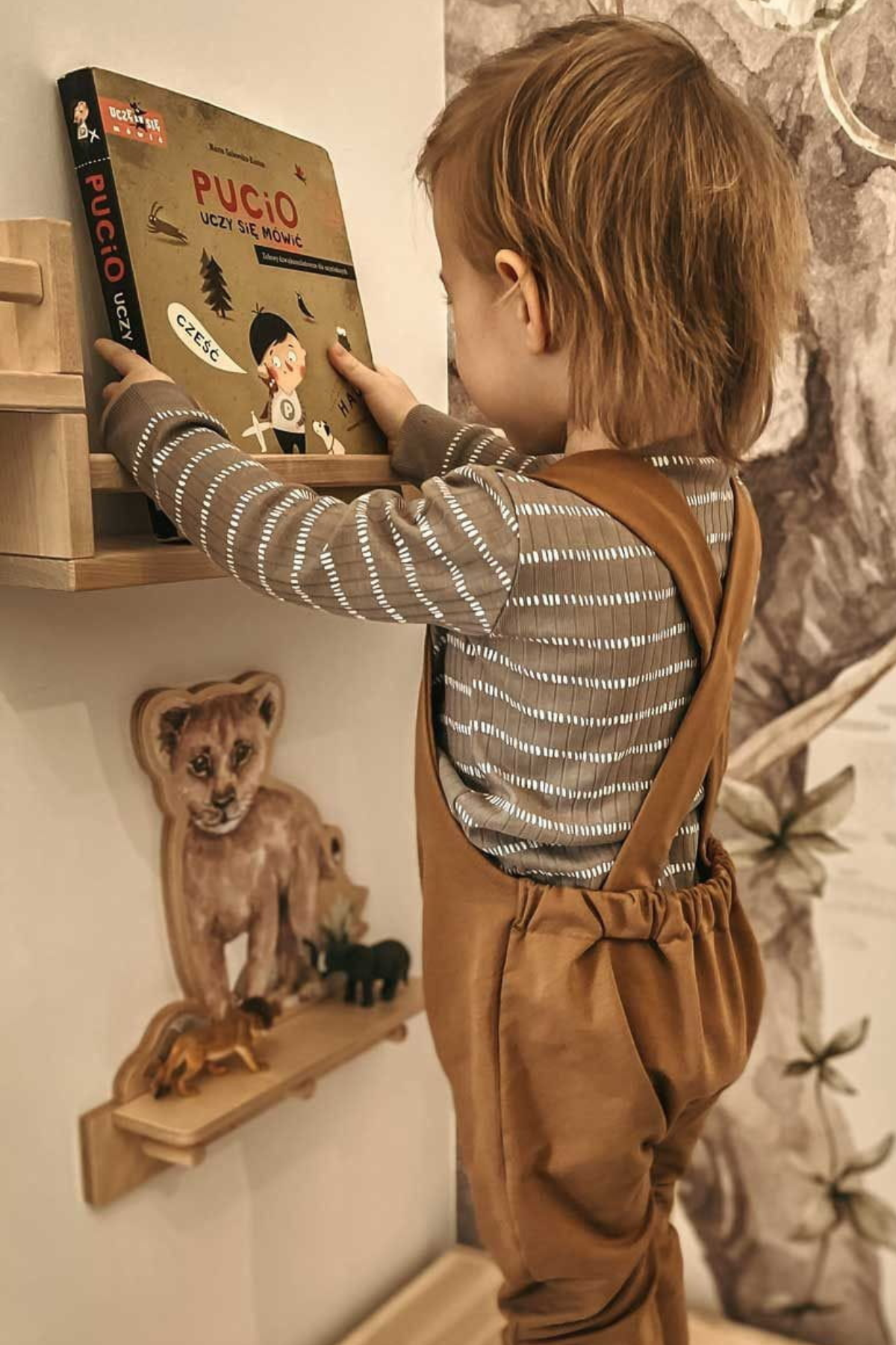 Shelves & Wall Storage