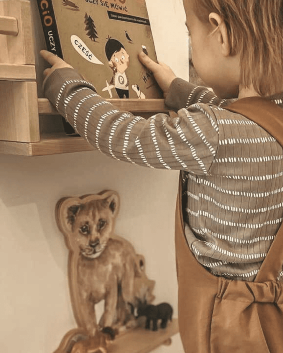 Shelves & Wall Storage - Tiny Tugz™