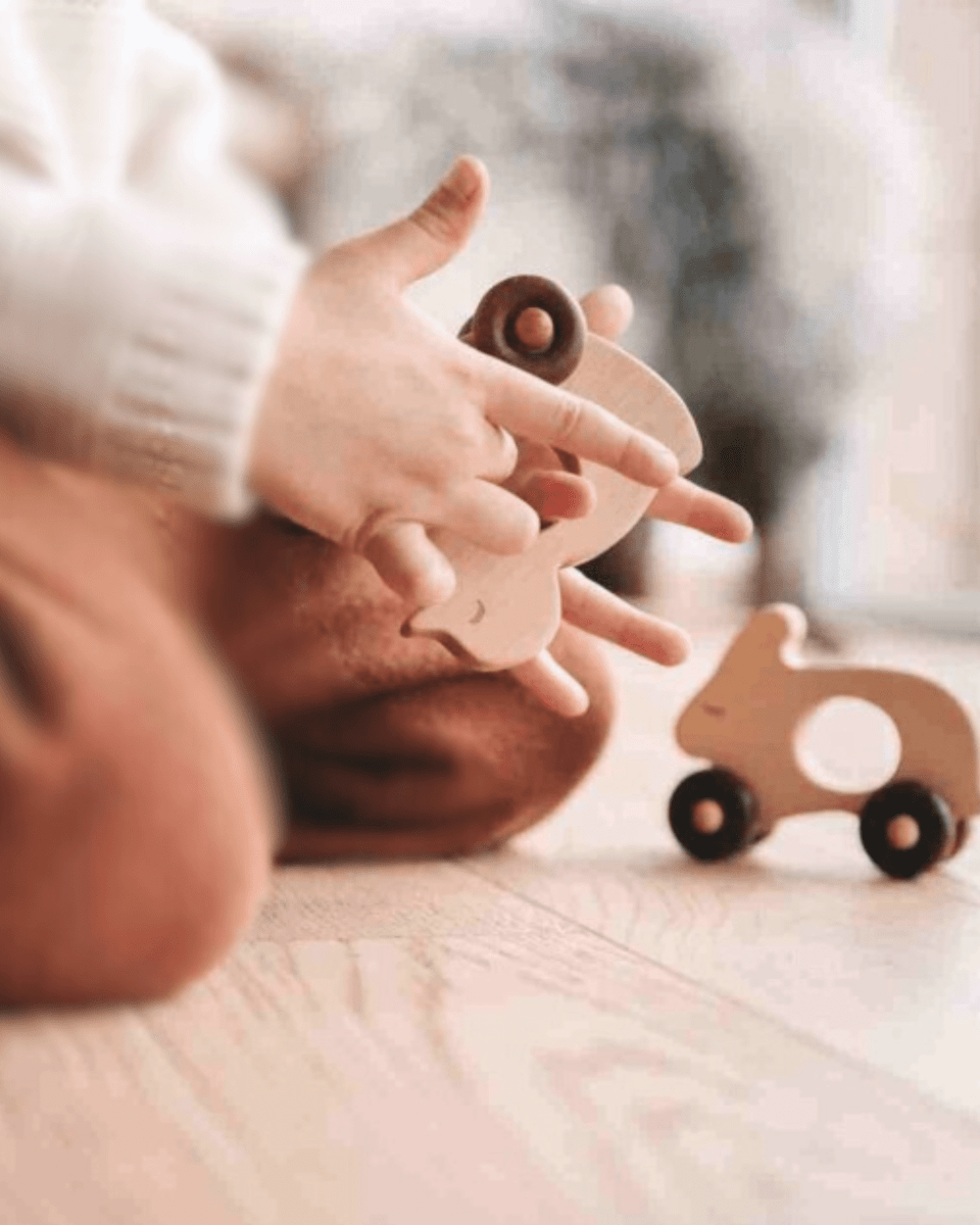 Wooden Toys & Educational Play - Tiny Tugz™