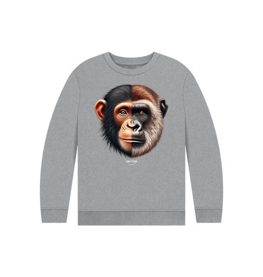 Athletic Grey Printed Kids Jumper