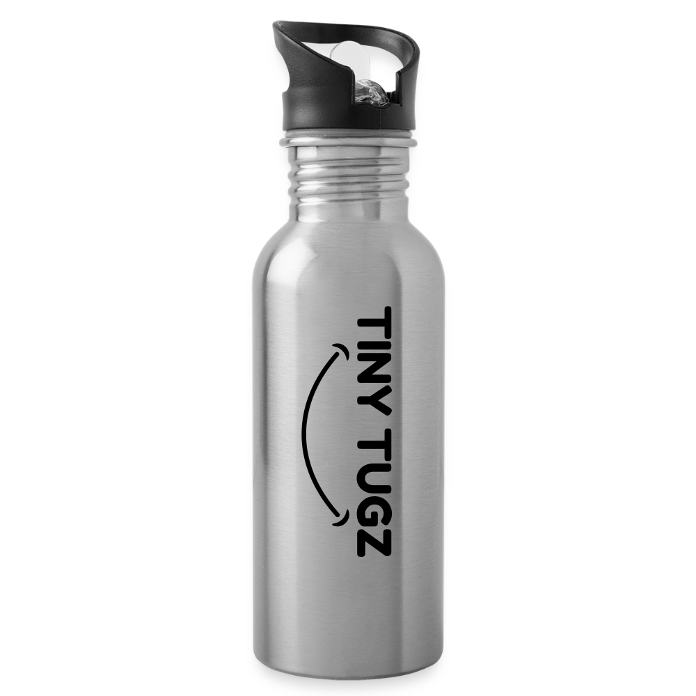 Water Bottle - silver
