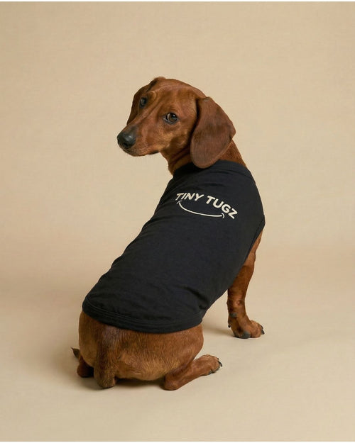 Schwarzes Hunde-T-Shirt aus 100 % Bio-Baumwolle