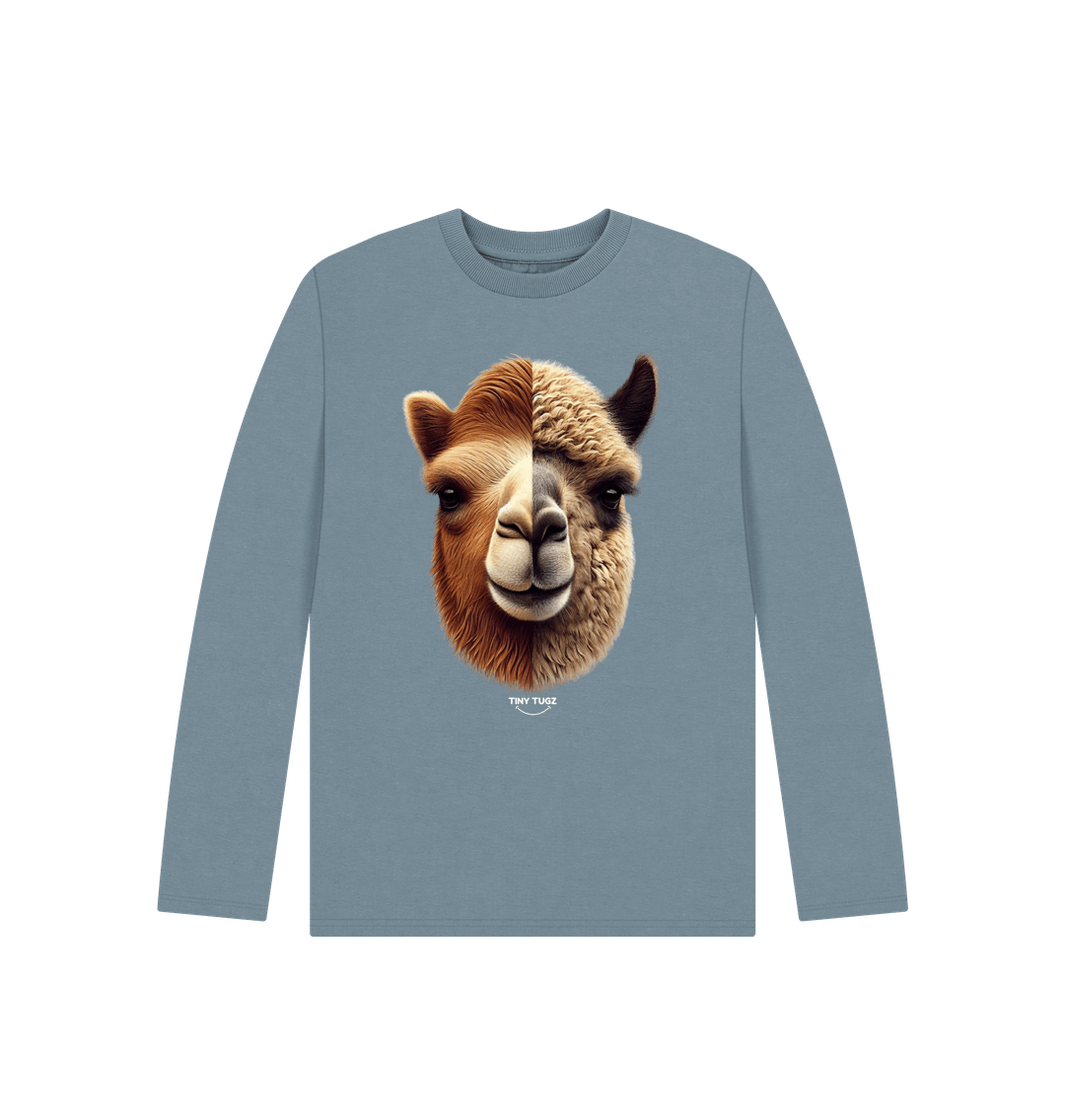 Stone Blue Printed Kids T-Shirt