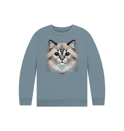 Stone Blue Printed Kids Jumper