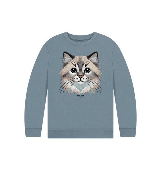 Stone Blue Printed Kids Jumper