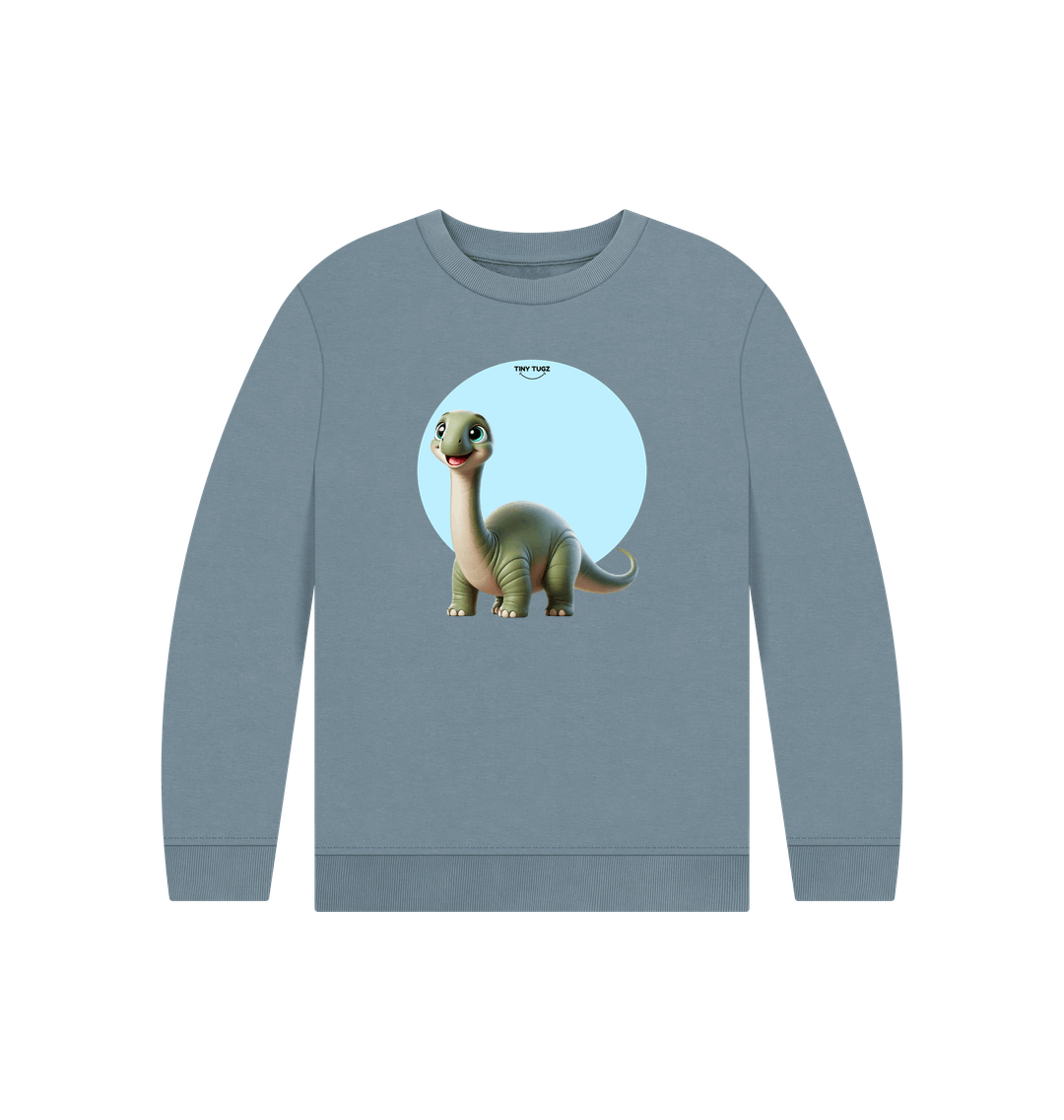 Stone Blue Printed Kids Jumper