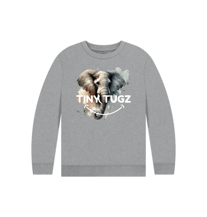 Athletic Grey Printed Kids Jumper