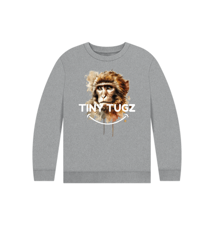 Athletic Grey Printed Kids Jumper