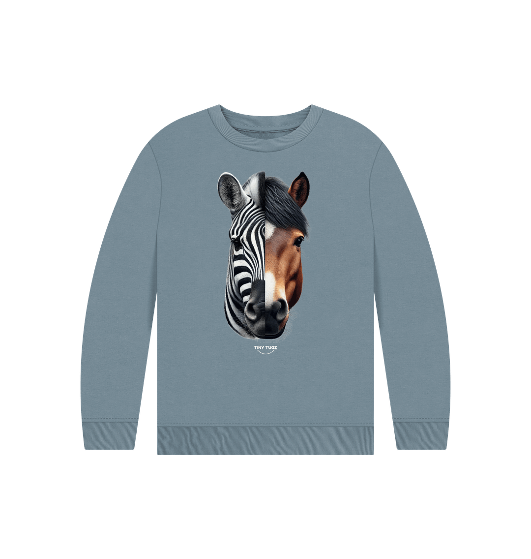 Stone Blue Printed Kids Jumper