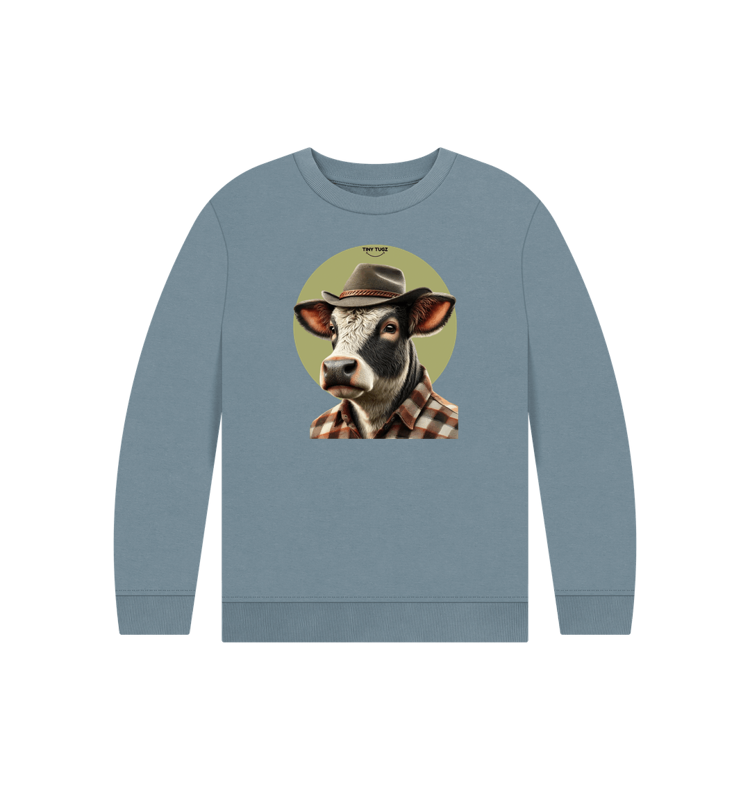 Stone Blue Printed Kids Jumper