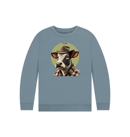 Stone Blue Printed Kids Jumper
