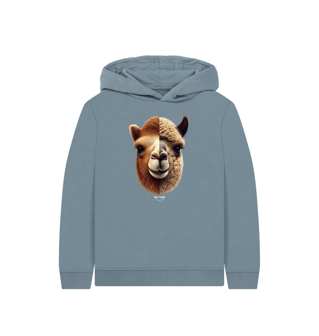 Stone Blue Printed Kids Hoodie