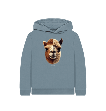 Stone Blue Printed Kids Hoodie