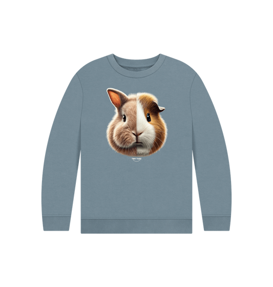 Stone Blue Printed Kids Jumper