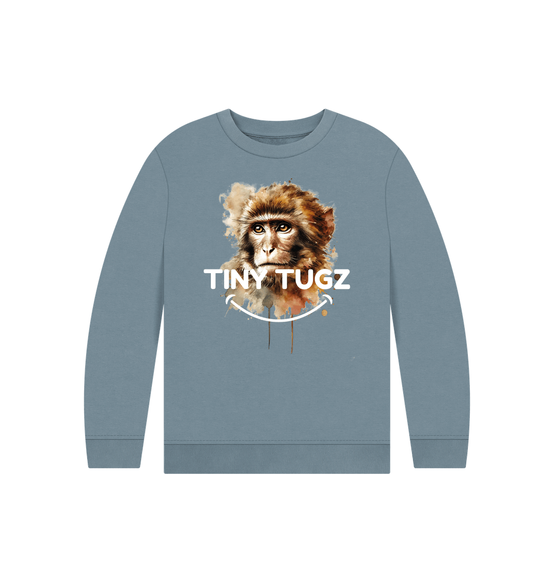 Stone Blue Printed Kids Jumper