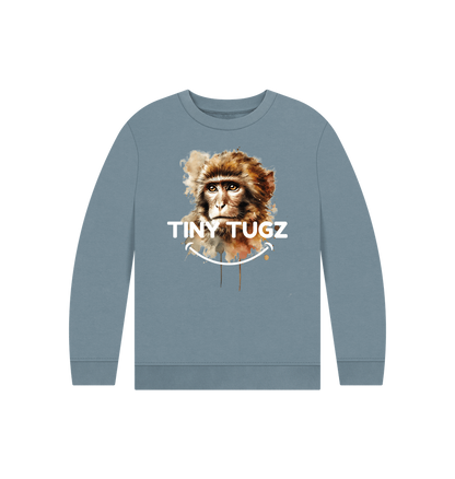 Stone Blue Printed Kids Jumper
