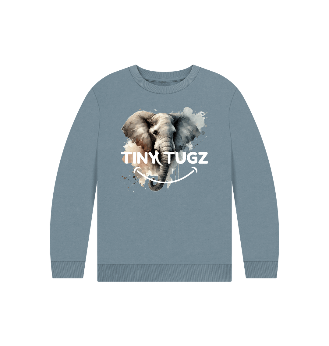 Stone Blue Printed Kids Jumper