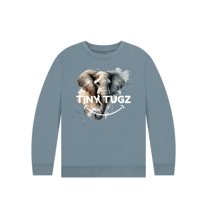 Stone Blue Printed Kids Jumper