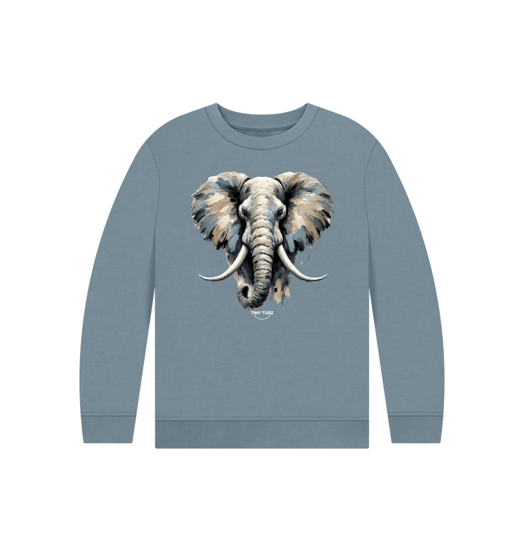 Stone Blue Printed Kids Jumper