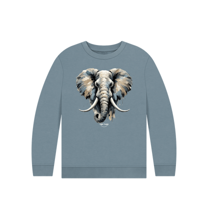 Stone Blue Printed Kids Jumper