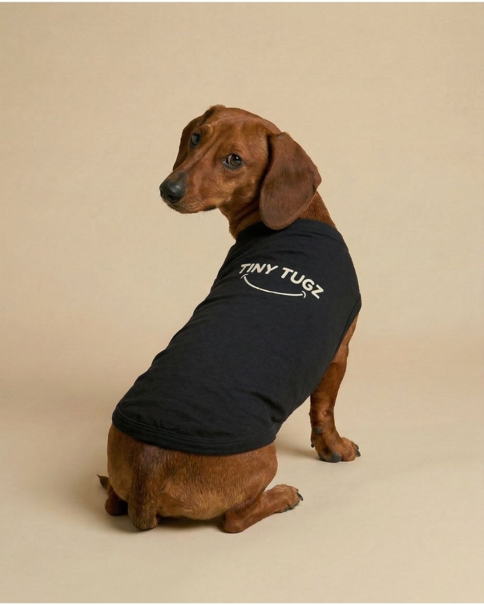 Black 100% Organic Cotton Dog T-Shirt - Tiny Tugz™