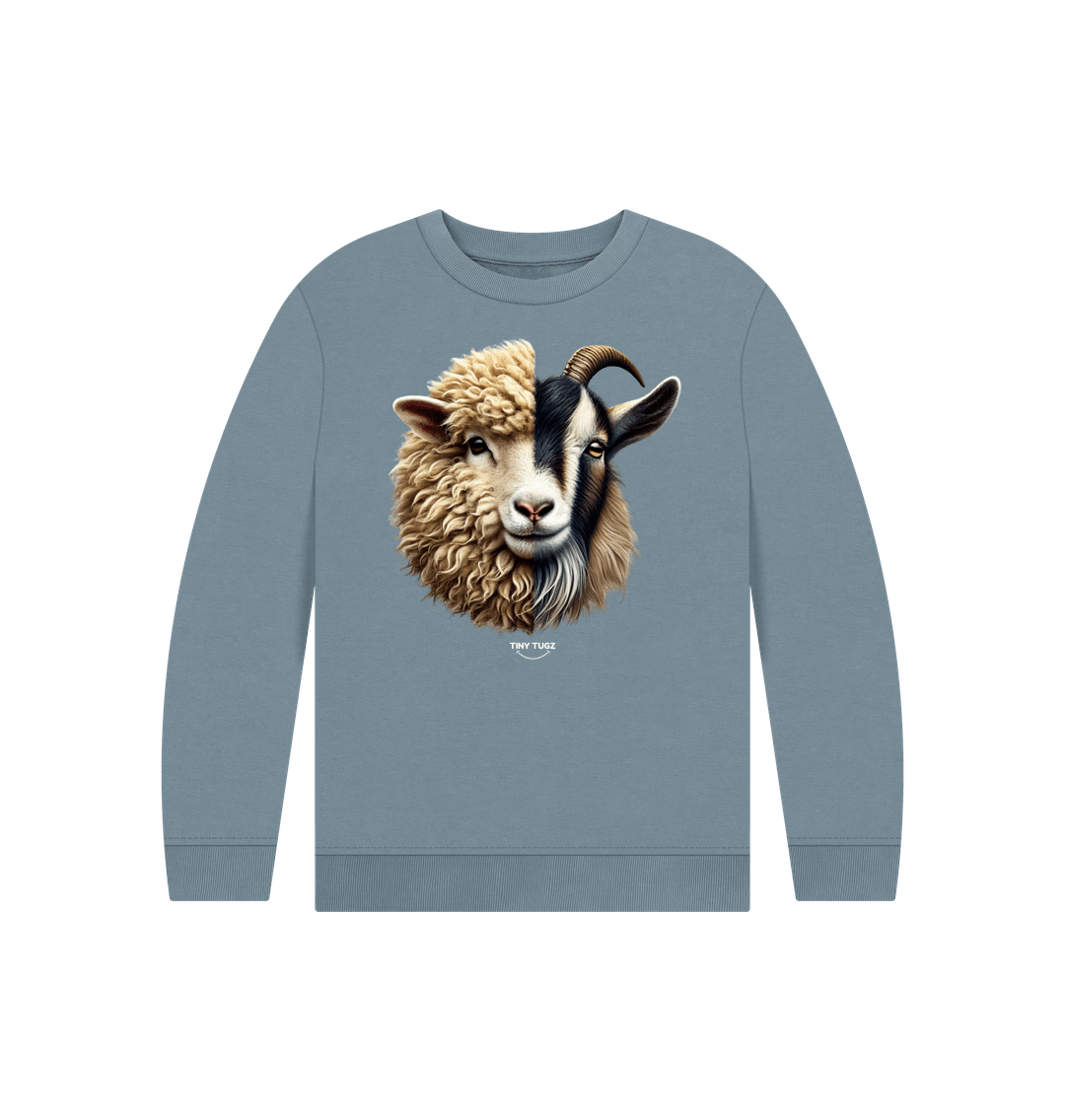Stone Blue Printed Kids Jumper