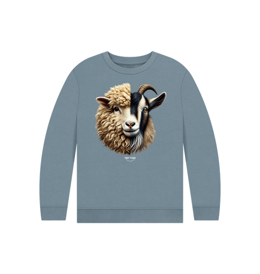 Stone Blue Printed Kids Jumper