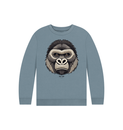 Stone Blue Printed Kids Jumper