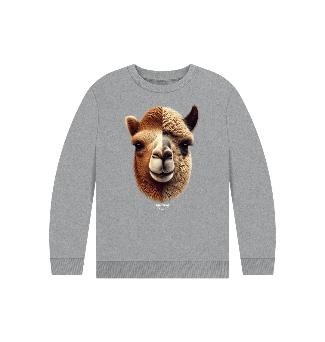 Athletic Grey Printed Kids Jumper