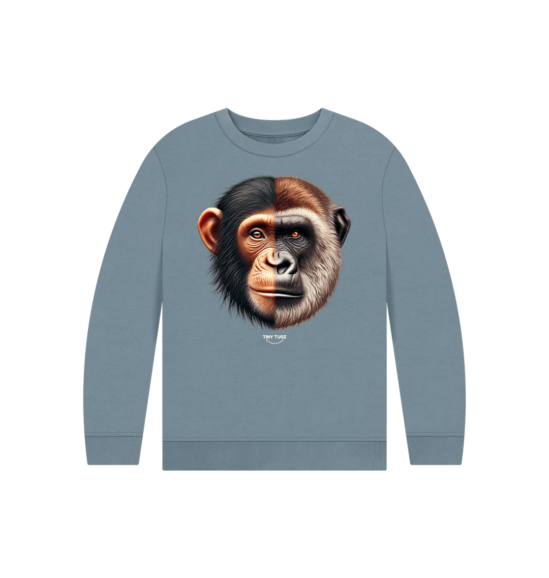 Stone Blue Printed Kids Jumper