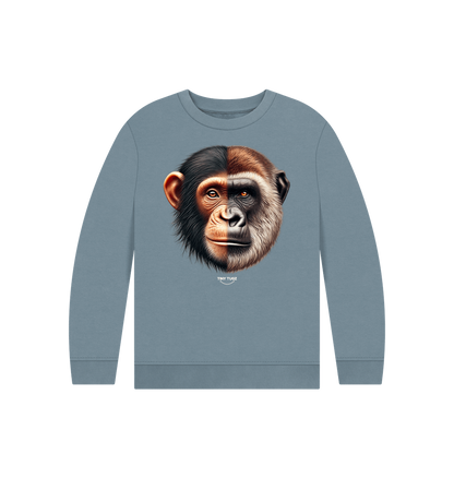 Stone Blue Printed Kids Jumper