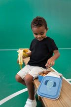 Large Lunch Box - Mrs. Elephant