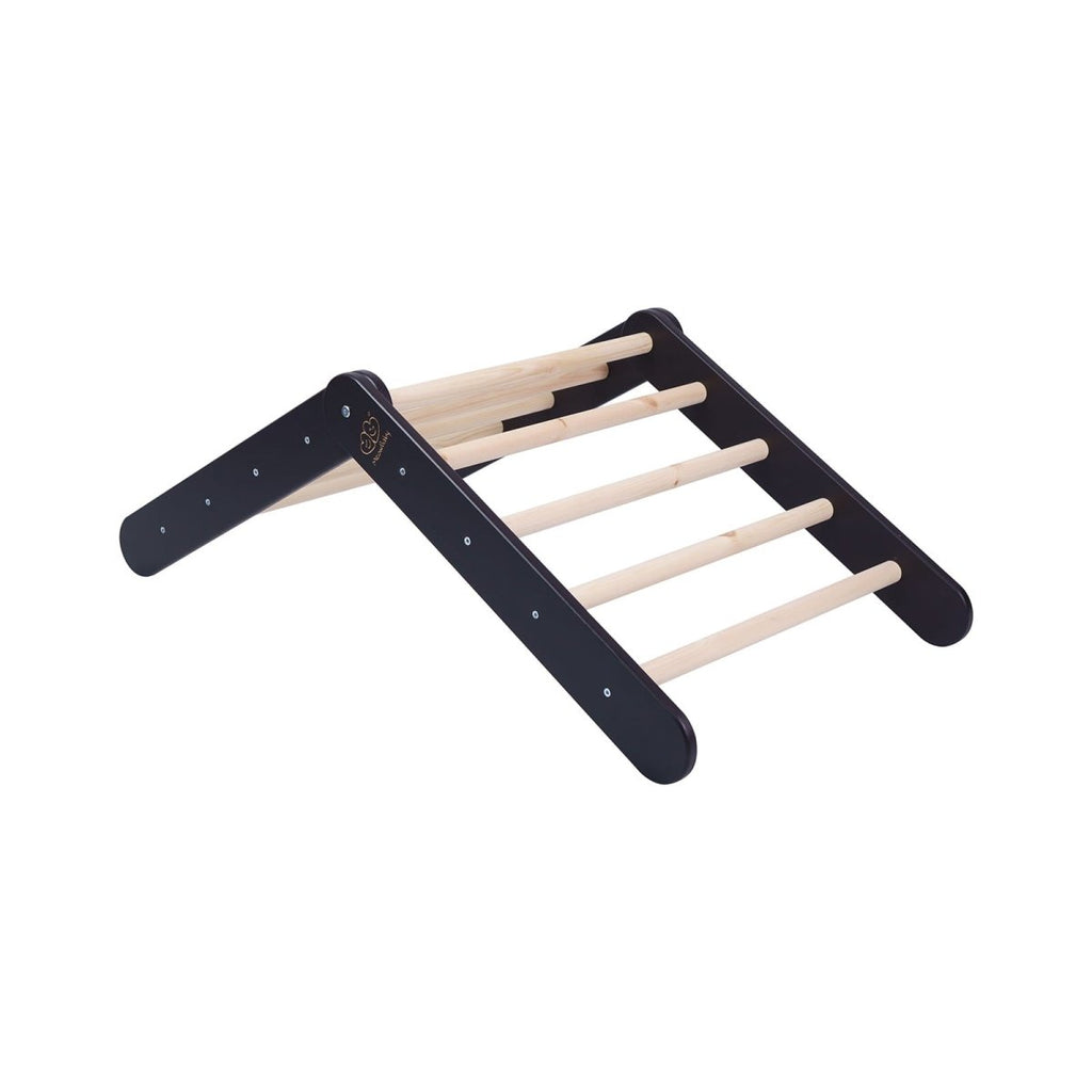 Montessori Wooden Ladder for Children – 9-Rung Birch Climbing Frame (Black) - Tiny Tugz™