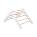 Montessori Wooden Ladder for Children – 9-Rung Climbing Frame (White) - Tiny Tugz™