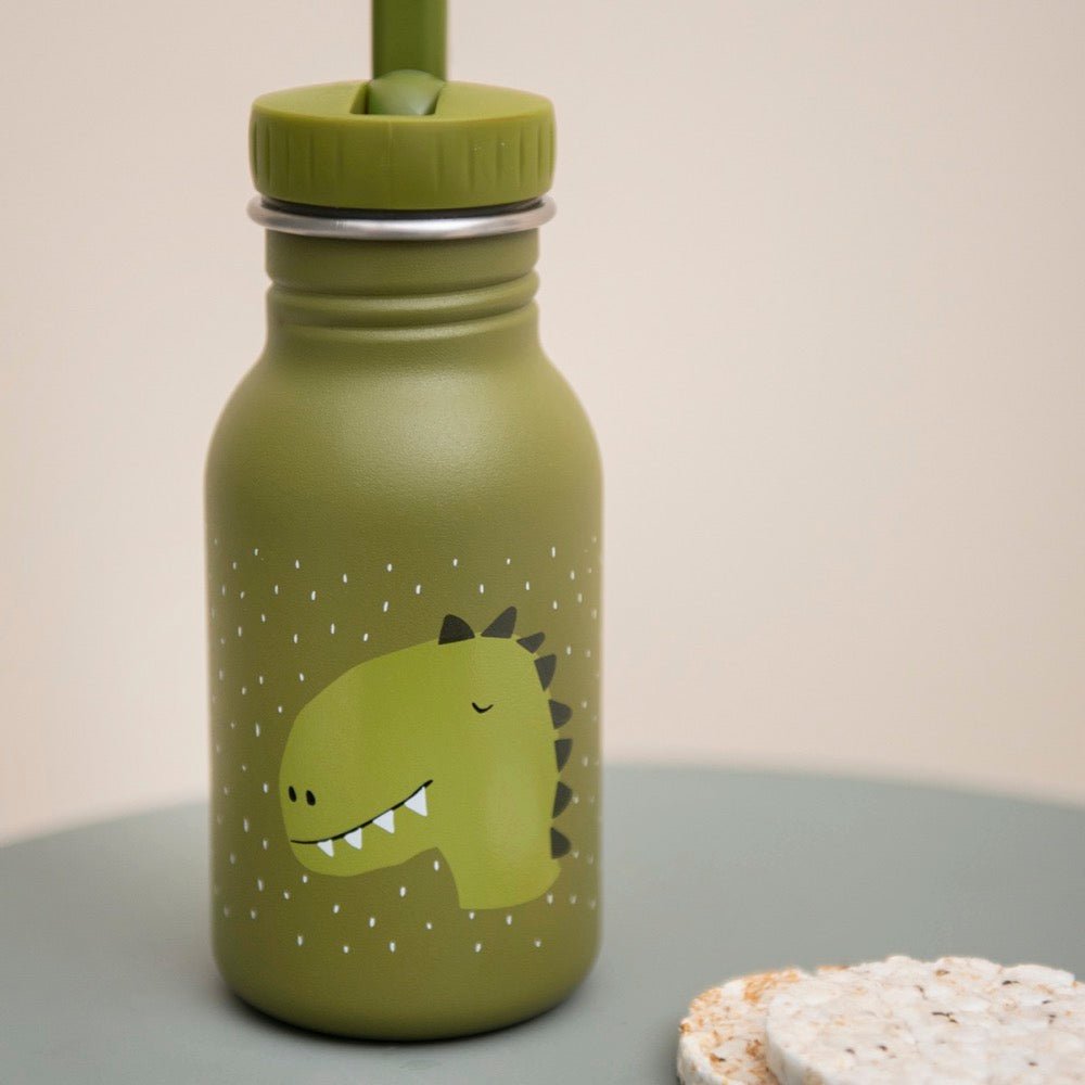 Mr. Dino Stainless Steel Water Bottle 350 ml – Durable, Safe Hydration for Kids - Tiny Tugz™