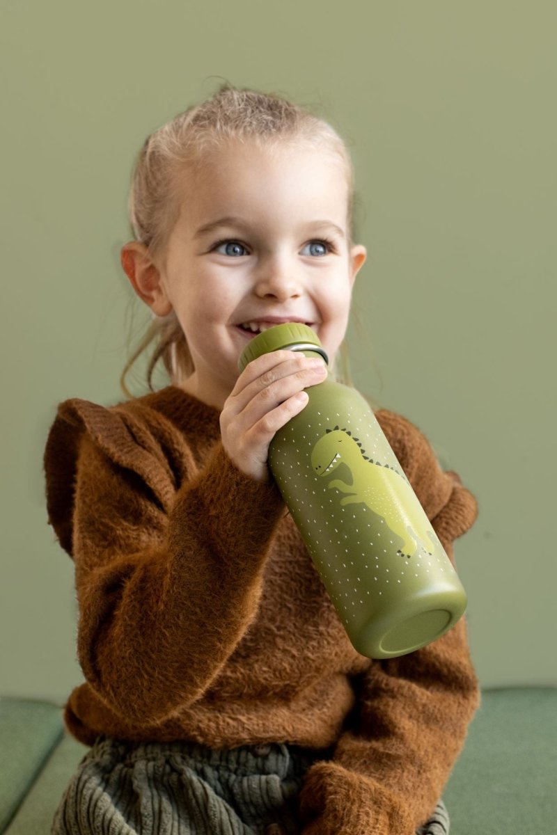 Mr. Dino Stainless Steel Water Bottle 500 ml – Durable, Safe Hydration for Kids - Tiny Tugz™
