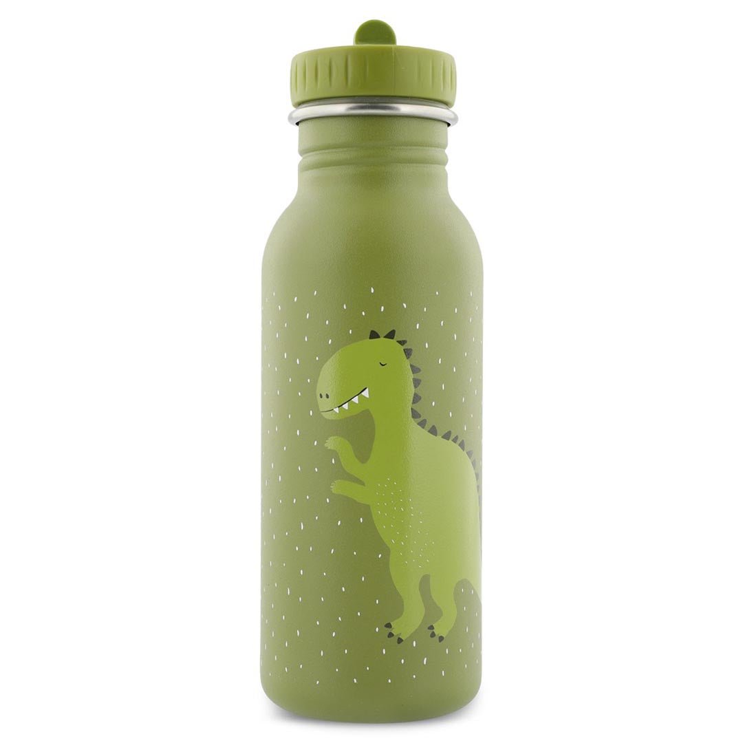 Mr. Dino Stainless Steel Water Bottle 500 ml – Durable, Safe Hydration for Kids - Tiny Tugz™