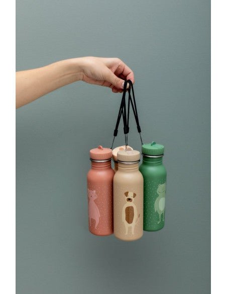 Mr. Dog Stainless Steel Water Bottle 500 ml – Durable, Safe Hydration for Kids - Tiny Tugz™