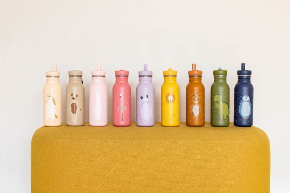 Mr. Dog Stainless Steel Water Bottle 500 ml – Durable, Safe Hydration for Kids - Tiny Tugz™