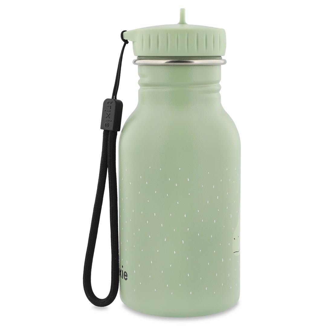 Mr. Dragon Stainless Steel Water Bottle 350 ml – Durable, Safe Hydration for Kids - Tiny Tugz™