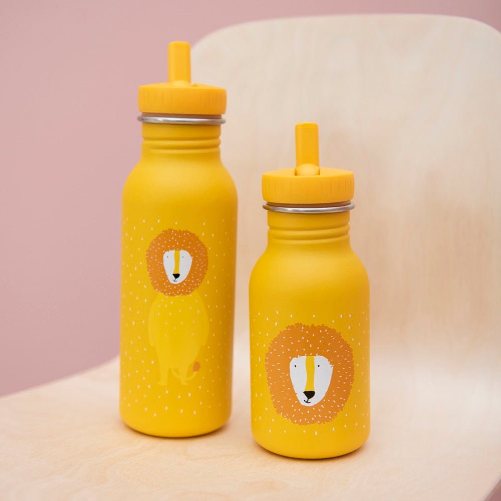 Mr. Lion Stainless Steel Water Bottle 500 ml – Durable, Safe Hydration for Kids - Tiny Tugz™