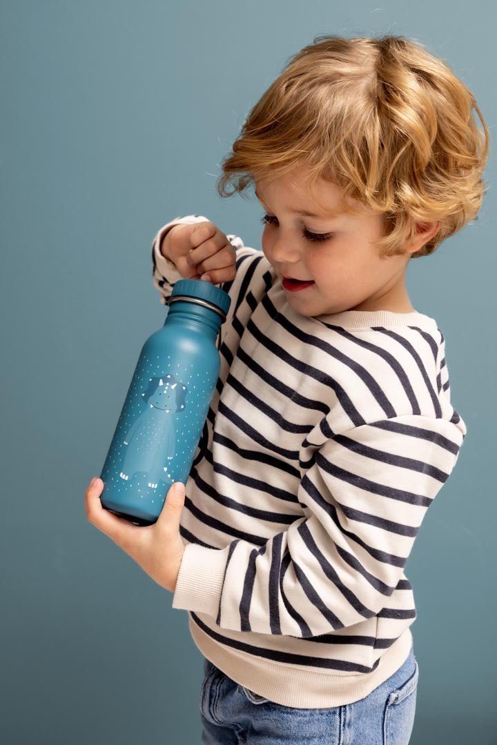 Mr. Triceratops Stainless Steel Water Bottle 350 ml – Durable, Safe Hydration for Kids - Tiny Tugz™