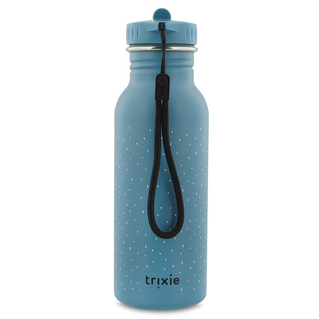 Mr. Triceratops Stainless Steel Water Bottle 500 ml – Durable, Safe Hydration for Kids - Tiny Tugz™
