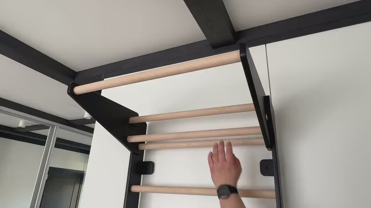 Swedish Ladder with Pull-Up Bar and Dips Bar