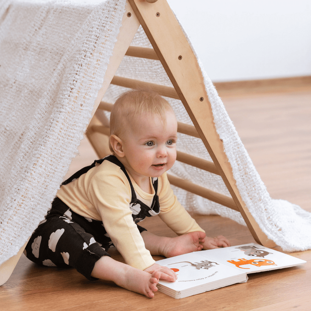 SIPITRI® 2-Segment Pikler Climbing Triangle with Slide Ramp - Tiny Tugz™